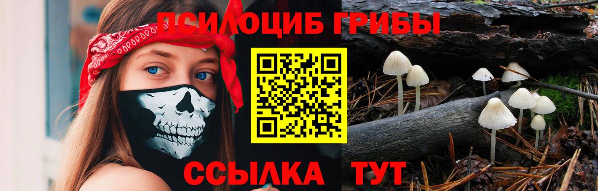 Галлюциногенные грибы Magic Shrooms  Псилоцибиновые грибы ЛСД  Вход с VPN  где купить наркоту  Полевской 